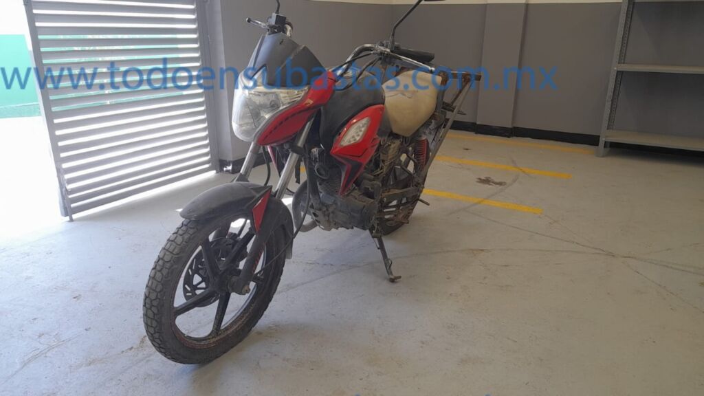 imagen principal de la unidad