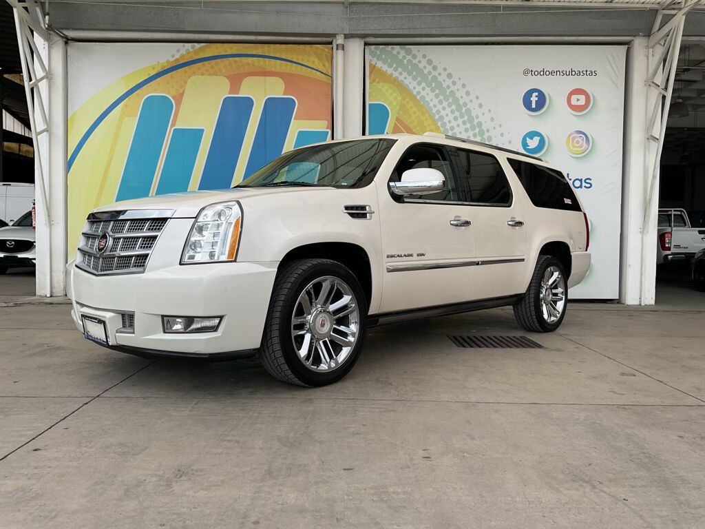 imagen principal de la unidad