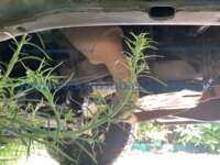 Dodge Ram 1500 2013 2p ST V6/3.7 Man 20230731_171446283_iOS