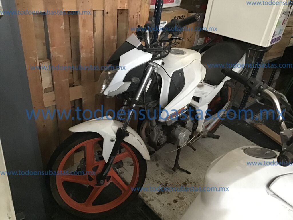 Italika FT250 2018 Fiera 2018 Italika FT250 Ingreso Exteriores 0