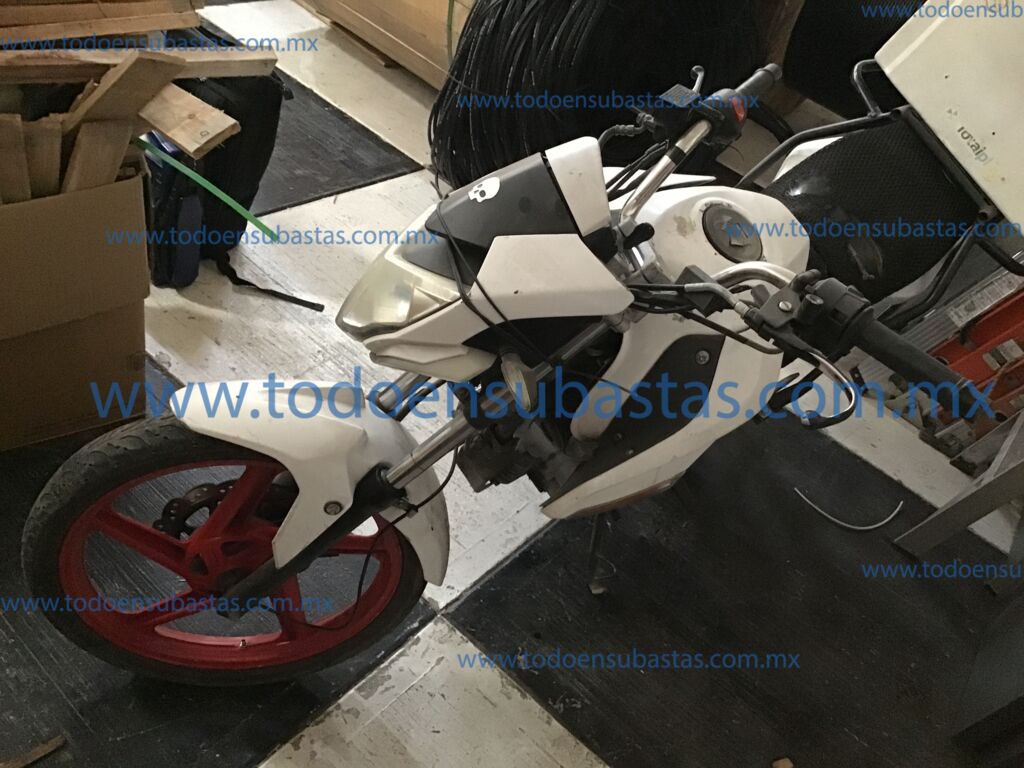 Italika FT250 2018 Fiera 2018 Italika FT250 Ingreso Exteriores 0