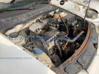 Volkswagen Derby 2008  20240110_203337534_iOS