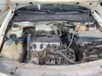 Volkswagen Derby 2009  20240110_184905310_iOS