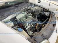 Volkswagen Derby 2009  20240110_183907979_iOS