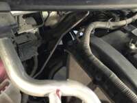Ford Figo 2021 4p Impulse L3/1.5 Man  2021 Ford Figo Ingreso Motor 5