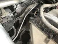 Ford Figo 2021 4p Impulse L3/1.5 Man  2021 Ford Figo Ingreso Motor 5