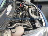 Ford Figo 2021 4p Impulse L3/1.5 Man  2021 Ford Figo Ingreso Motor 2