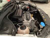 Volkswagen Polo 2021 5p Startline L4/1.6 Man 2021 Volkswagen Polo Venta Motor 3