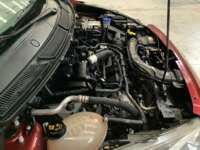 Ford Figo 2021 4p Impulse L3/1.5 Man  2021 Ford Figo Venta Motor 3