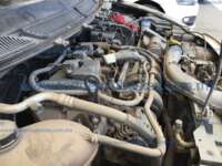 Ford Figo 2021 4p Energy L3/1.5 Man IMG_6248