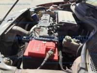 Volkswagen Vento 2021 4p Startline L4/1.6 Man IMG_6595