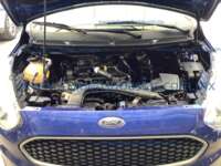 Ford Figo 2021 4p Energy L3/1.5 Man   IMG_5534