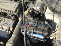 Volkswagen Polo 2021 5p Startline L4/1.6 Man 2021 Volkswagen Polo Ingreso Motor 3