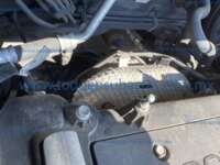 Kia Rio 2018 5p HB EX L4/1.6 Aut IMG_9156