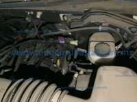 Ford F-150 2019 4p XL Crew Cab 4X4 V8/5.0 Aut 20240403_174627633_iOS
