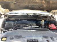 Dodge RAM 2500 2018 2p ST V8/5.7 Aut 4x4 20240516_201057195_iOS