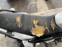 Italika DT250 2020 Sport 2020 Italika DT250 Venta Interiores 4