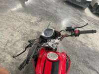 Italika FT250 2021 TS 2021 Italika FT250 Venta Interiores 1
