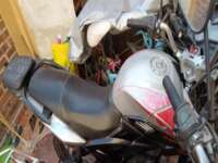 Italika DT250 2020  2020 Italika DT250 Venta Motor 3
