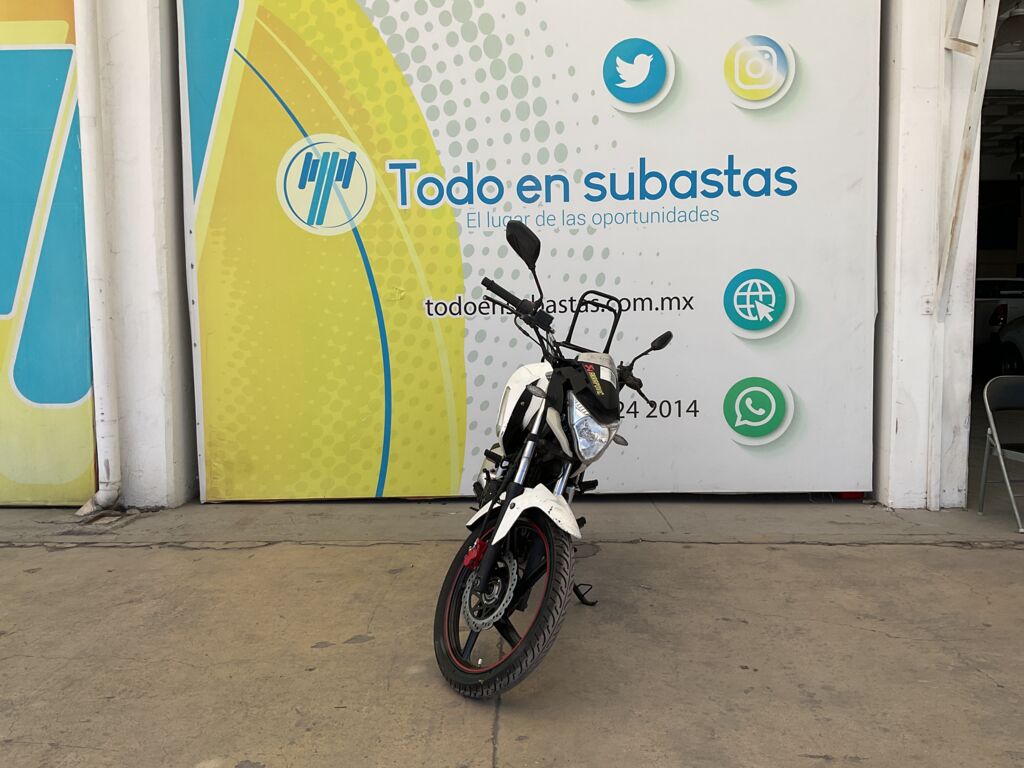 Italika FT250 TS 2021  2021 Italika FT250 TS Venta Exteriores 2