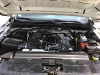 Nissan NP300 Pick Up 2021 2p L4/2.5 Man A/A    2021 Nissan NP300 Pick Up Venta Motor 2