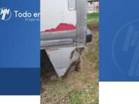 Ford F-450 2015 2p XL V8/6.7/T Diesel Aut 2015 Ford F-450 Venta Exteriores 13