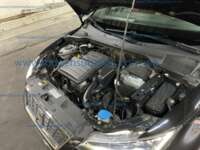 Seat Ibiza 2019 5p Xcellence L4/1.6 Man     IMG_4875