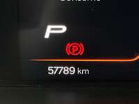 Seat Ibiza 2024 5p Xcellence L4/1.6 Tiptronic 2024 Seat Ibiza Venta Interiores 3