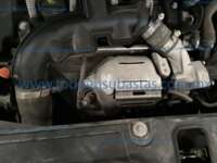 Peugeot 3008 2021 5p Active L4/1.6 Aut IMG_7135