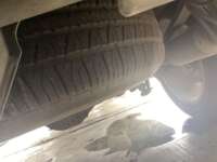 GMC Sierra 2021 4p Crew Cab Denali V8/6.2 Aut 4WD IMG_1133