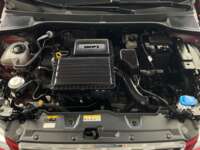 Seat Ibiza 2023 5p Xcellence L4/1.6 Man 2023 Seat Ibiza Venta Motor 2