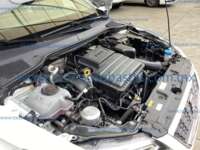 Seat Ibiza 2024 5p Xcellence L4/1.6 Man IMG_4537