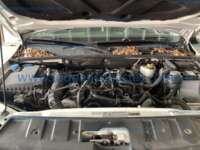 Volkswagen Amarok 2020 4p Highline L4/2.0/TDI 4Mont Aut IMG_4922
