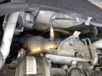 Volkswagen Taos 2024 5p Comfortline Plus L4/1.4/T Tiptronic IMG_4716