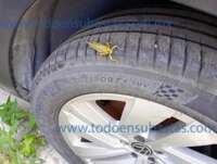Volkswagen Teramont 2022 5p Comfortline V6/3.6 Tiptronic   IMG-20250819-WA0328