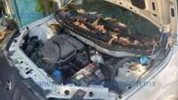 Dodge Ram Promaster 2021  IMG-20250813-WA0037