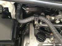 Toyota Prius 2021 5p Prius C L4/1.5 Aut 2021 Toyota Prius Venta Motor 5