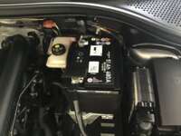 Volkswagen Tiguan 2021 5p Trendline Plus L4/1.4/T DSG 2021 Volkswagen Tiguan Venta Motor 4