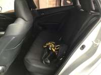 Toyota Prius 2017 5p Base Híbrido L4/1.8 Aut  2017 Toyota Prius Venta Interiores 23