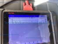 Volkswagen Nivus 2024 5p Highline L3/1.0/T Tiptronic 2024 Volkswagen Nivus Ingreso Motor 4