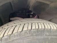 Chevrolet Tahoe 2022 5p High Country V8/6.2 Aut IMG_1462