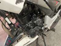 Italika FT250 2021 TS 2021 Italika FT250 Venta Motor 1