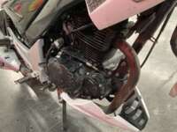 Italika FT250 2021 TS 2021 Italika FT250 Venta Motor 3