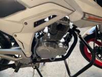 Italika FT250 2018 Fiera 2018 Italika FT250 Venta Motor 4