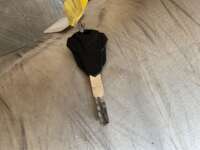 Italika FT250 2018 Fiera 2018 Italika FT250 Venta Interiores 10