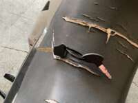 Italika DT250 2020 Sport 2020 Italika DT250 Venta Interiores 9