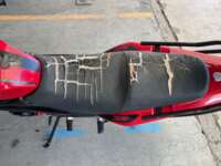 Italika FT250 2021 TS 2021 Italika FT250 Venta Interiores 9