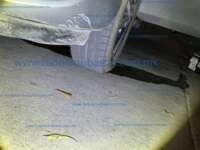 Toyota Prius 2019 5p C Hibrido L4/1.5/Aut 2019 Toyota Prius Ingreso Llantas 10