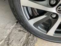 Toyota Prius 2021 5p C Híbrido L4/1.5 Aut 2021 Toyota Prius Venta Llantas 5