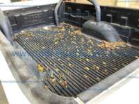 Nissan NP300 Pick Up 2020 2p L4/2.4 Man A/C 2020 Nissan NP300 Pick Up Ingreso Cajuela 1